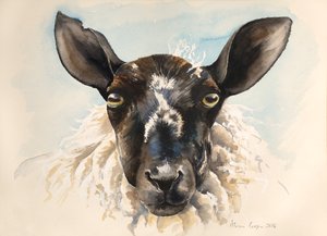 Image inconnue - Unbekannt Unbekannt
